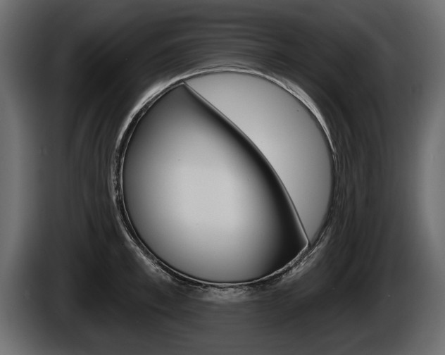 X0000086000997200703230845