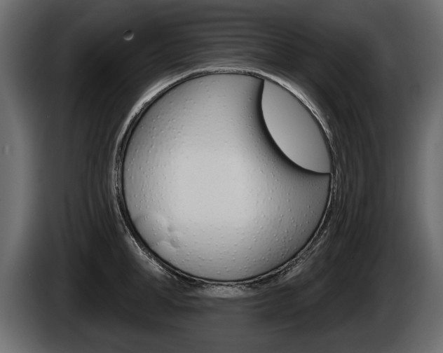 X0000086000998200703230845