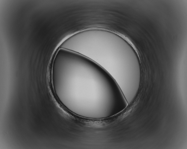 X0000086000999200703230845