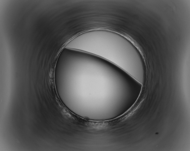 X0000086001001200703230845