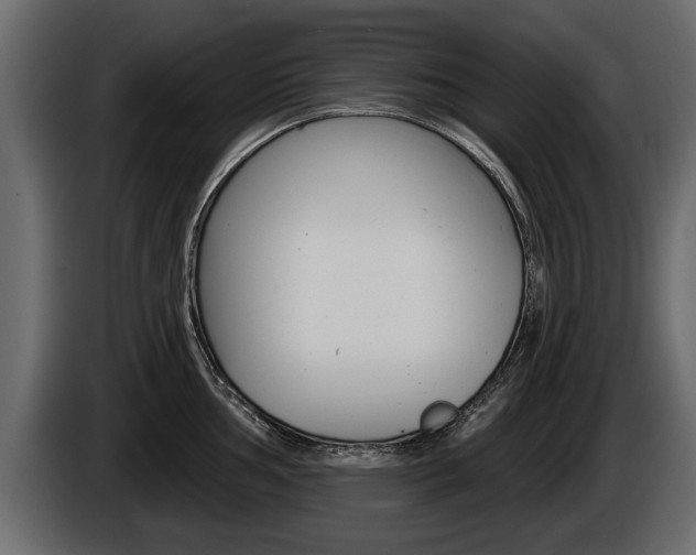 X0000086001002200703230845