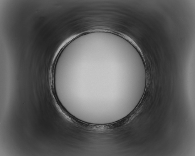 X0000086001003200703230845