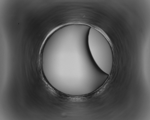 X0000086001004200703230845
