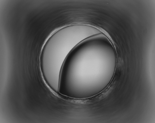 X0000086001005200703230845