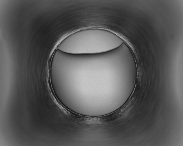 X0000086001006200703230845