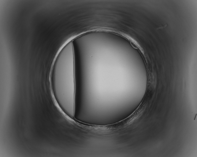 X0000086001007200703230845