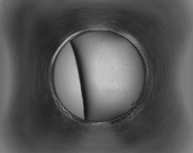 X0000086001008200703230845