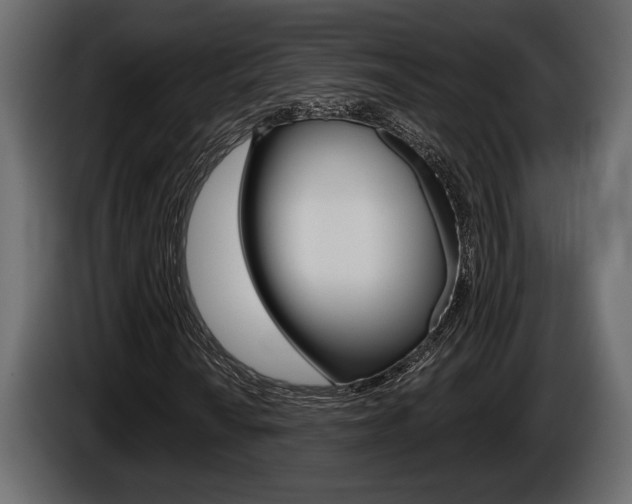 X0000086001010200703230844