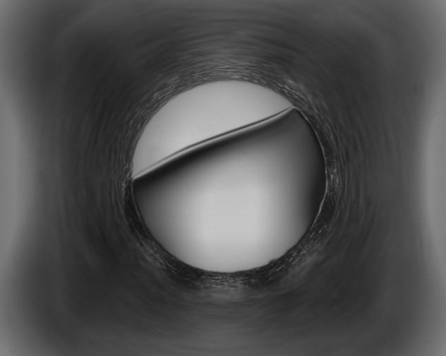 X0000086001012200703230844