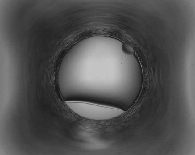 X0000086001013200703230844