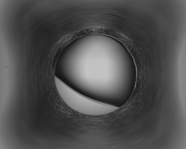 X0000086001014200703230844