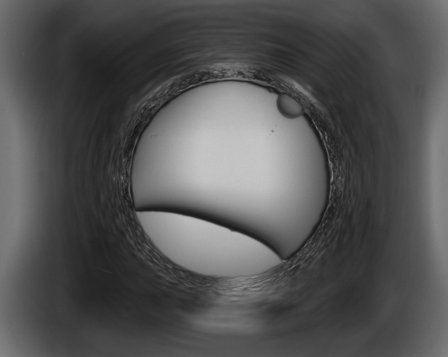 X0000086001015200703230844