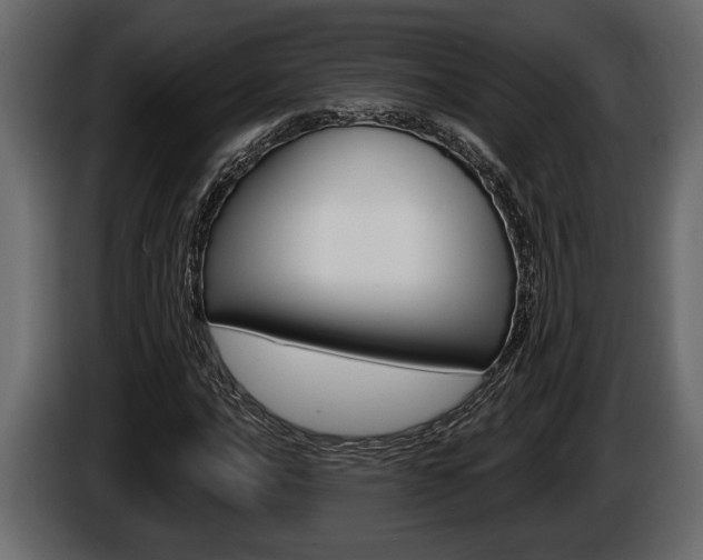 X0000086001016200703230844