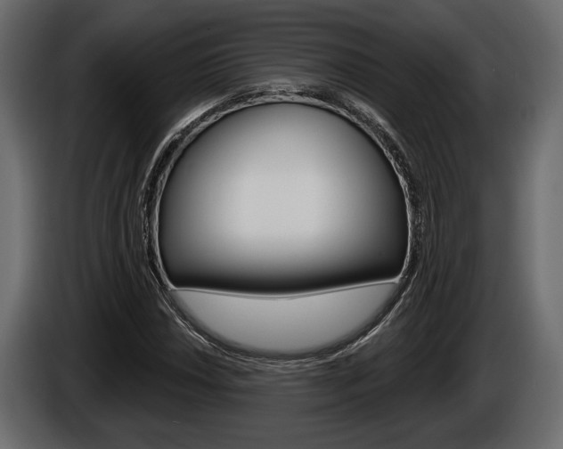 X0000086001018200703230844