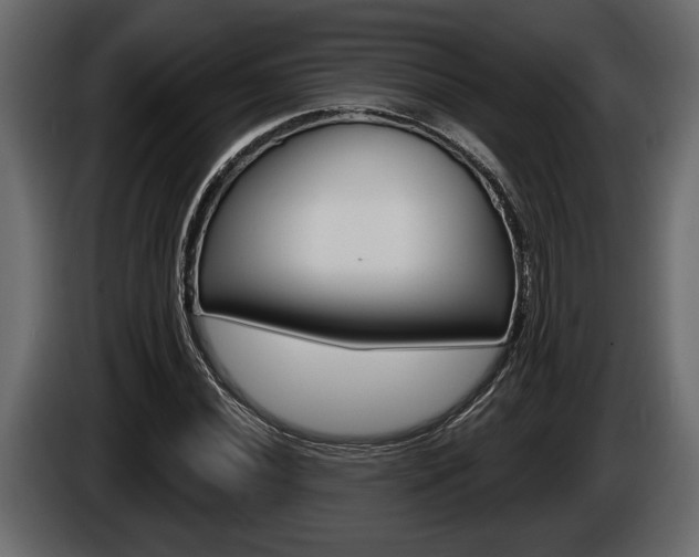 X0000086001020200703230844