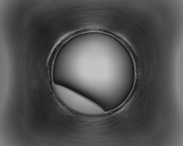 X0000086001022200703230844
