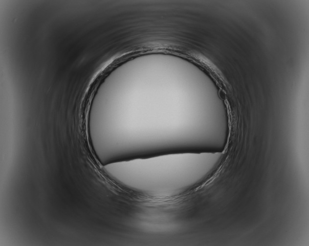 X0000086001023200703230844