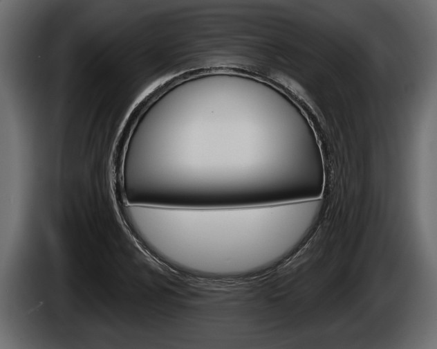 X0000086001024200703230844