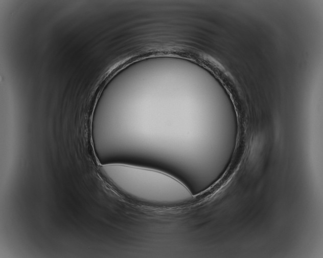 X0000086001025200703230844
