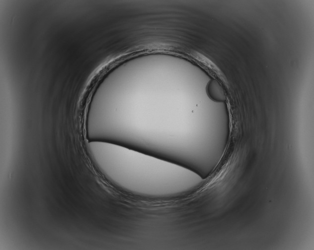 X0000086001027200703230844