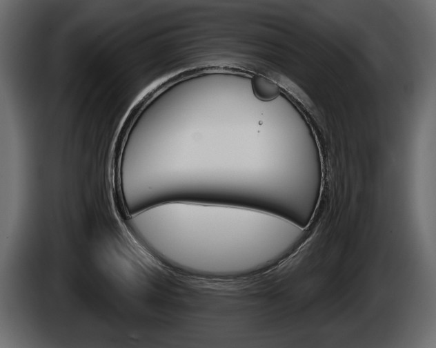 X0000086001028200703230844