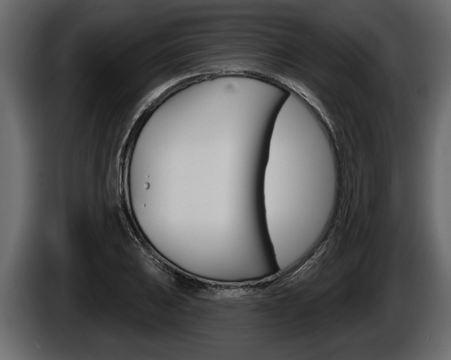 X0000086001031200703230844