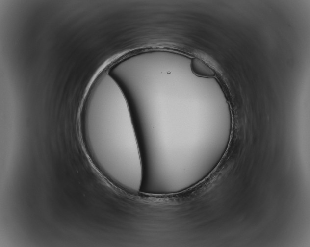 X0000086001032200703230844