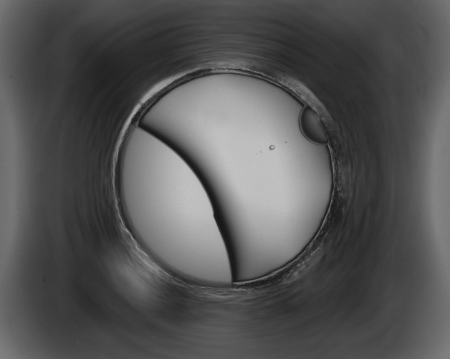 X0000086001036200703230845