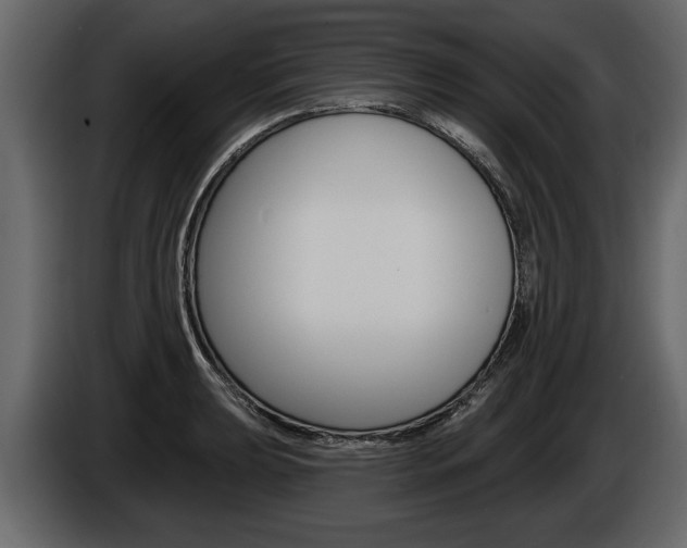 X0000086001039200703230845