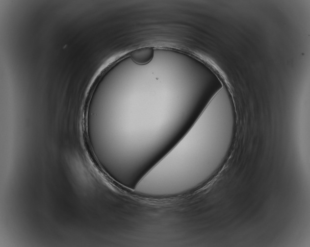 X0000086001040200703230845