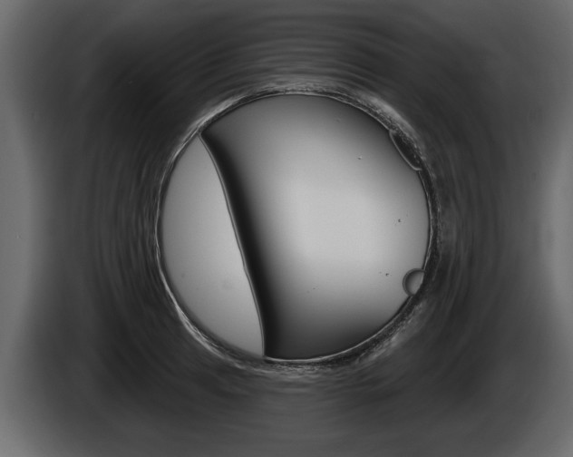 X0000086001041200703230845