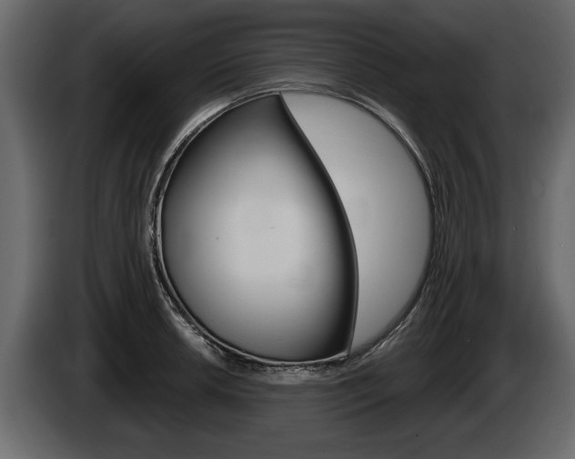 X0000086001042200703230845