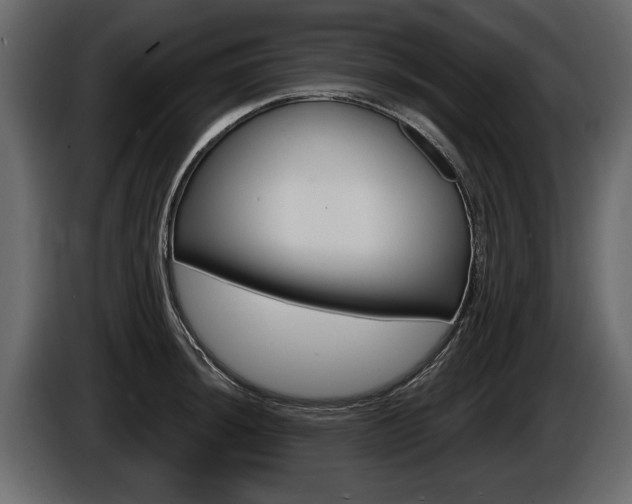 X0000086001044200703230845