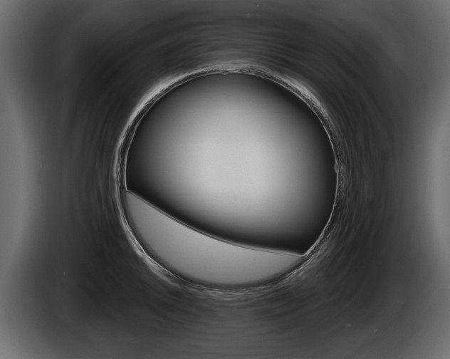 X0000086001046200703230845