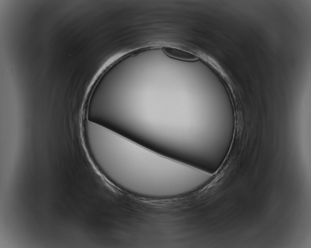 X0000086001048200703230845