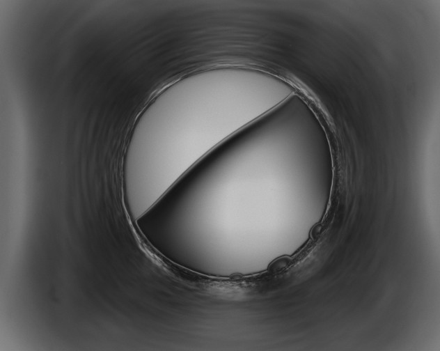 X0000086001049200703230845