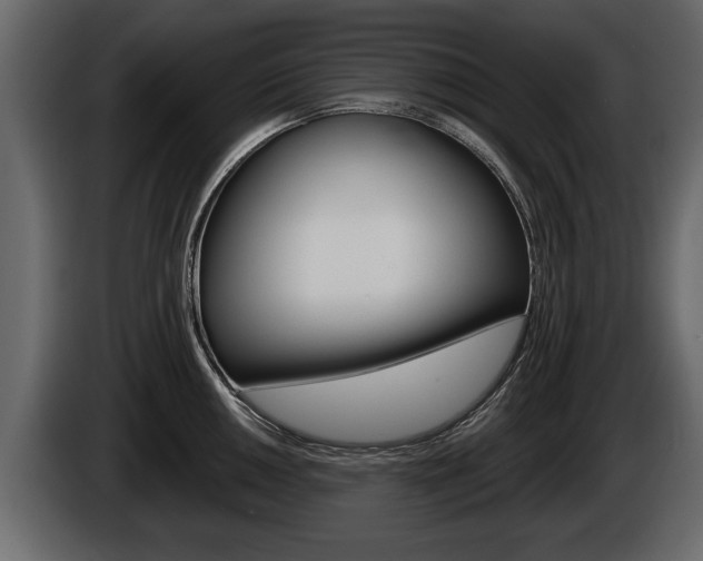 X0000086001050200703230845