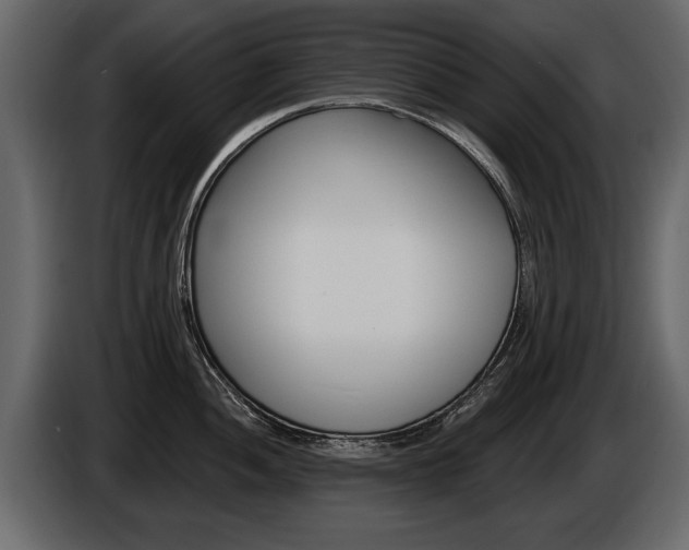 X0000086001052200703230845