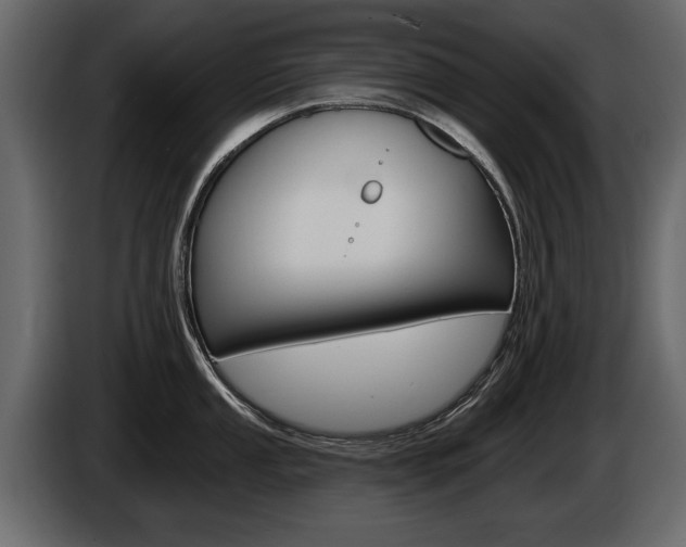 X0000086001053200703230845