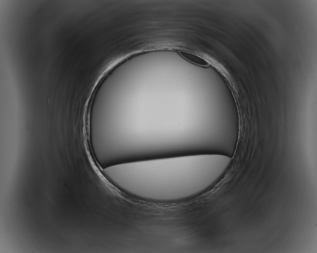 X0000086001055200703230845