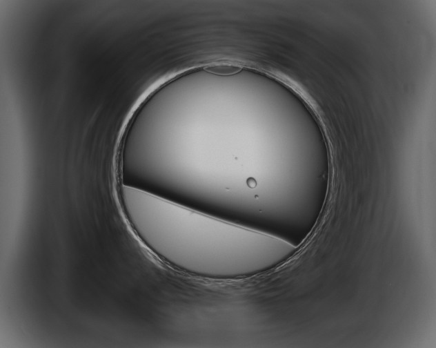 X0000086001056200703230845