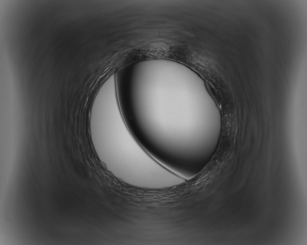 X0000086001057200703230844