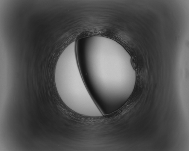 X0000086001058200703230844