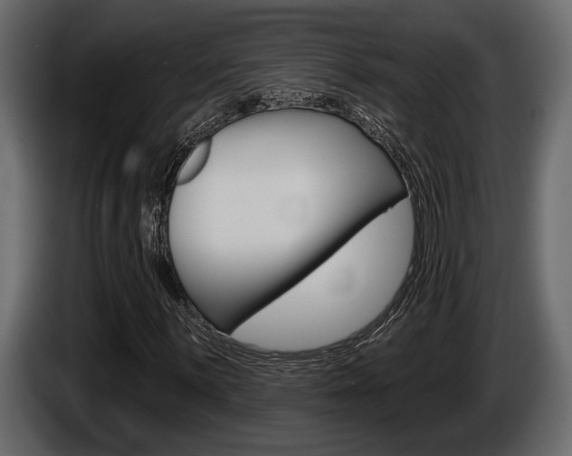X0000086001059200703230844
