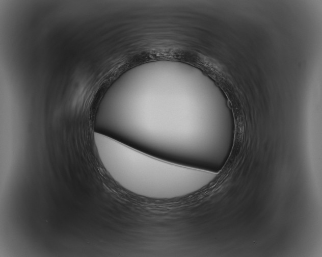 X0000086001060200703230844