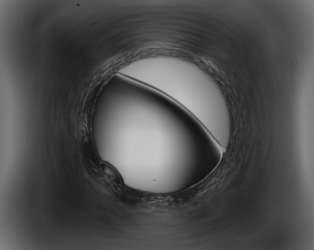 X0000086001062200703230844