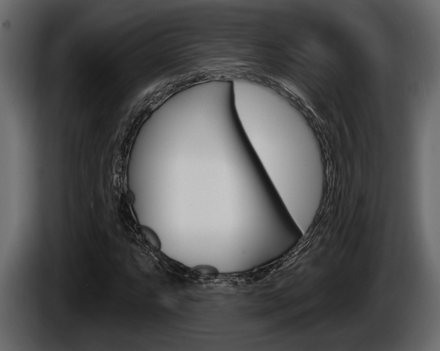 X0000086001063200703230844
