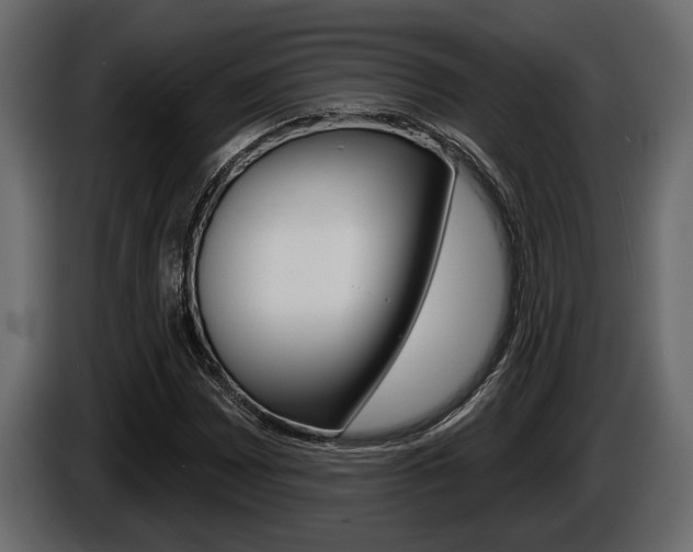 X0000086001065200703230844