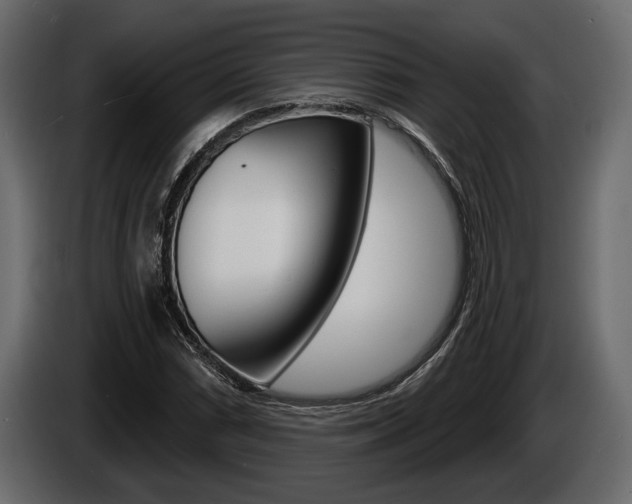 X0000086001066200703230844