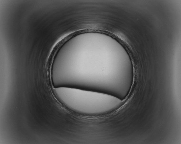 X0000086001070200703230844